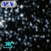 V* V2387 Cyg