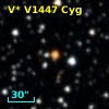 V* V1447 Cyg