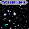 TYC 3136-490-1