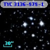TYC 3136-878-1