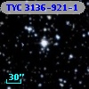 TYC 3136-921-1