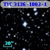 TYC 3136-1003-1