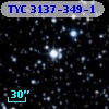 TYC 3137-349-1