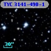 TYC 3141-490-1
