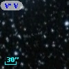 V* V2404 Cyg