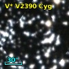 V* V2390 Cyg