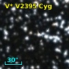 V* V2395 Cyg
