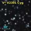 V* V2391 Cyg