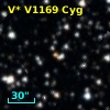 V* V1169 Cyg