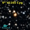 V* V1165 Cyg