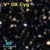 V* OX Cyg