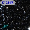 C* 2847