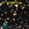 V* V1466 Cyg