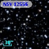 NSV 12556