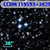 CCDM J19593+3829B
