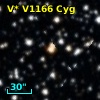 V* V1166 Cyg