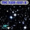 TYC 3137-517-1