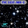 TYC 3137-909-1