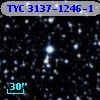 TYC 3137-1246-1