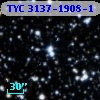 TYC 3137-1908-1