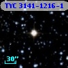 TYC 3141-1216-1