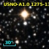 USNO-A1.0 1275-13058156