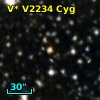 V* V2234 Cyg