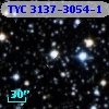 TYC 3137-3054-1
