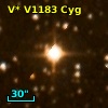 V* V1183 Cyg