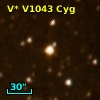 V* V1043 Cyg