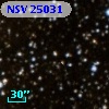 NSV 25031