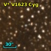 V* V1623 Cyg
