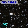 NSV 25019