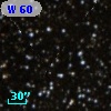 W 60