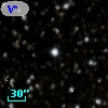 V* V454 Cyg