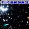 Cl* IC 4996    DAM     232