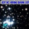 Cl* IC 4996    DAM     175