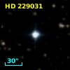 HD 229031