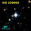 HD 229050