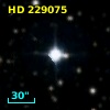 HD 229075