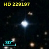 HD 229197