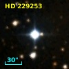 HD 229253