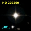 HD 229260