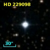 HD 229098