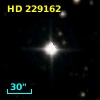 HD 229162