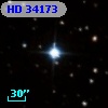 HD  34173