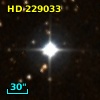 HD 229033
