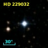 HD 229032