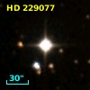 HD 229077
