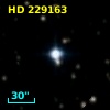 HD 229163